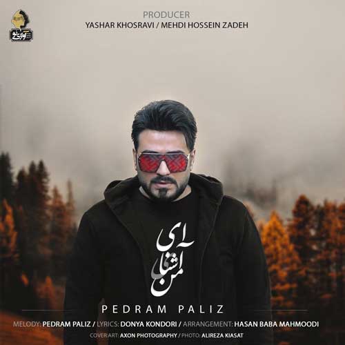 پدرام پالیز ای آشنای من
